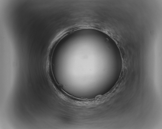 X0000114720005200910211356