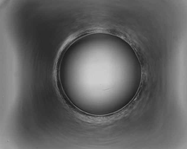 X0000114720006200910211356