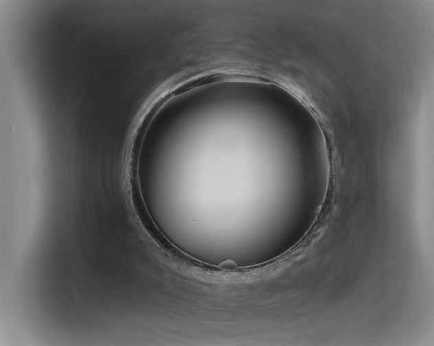 X0000114720007200910211356