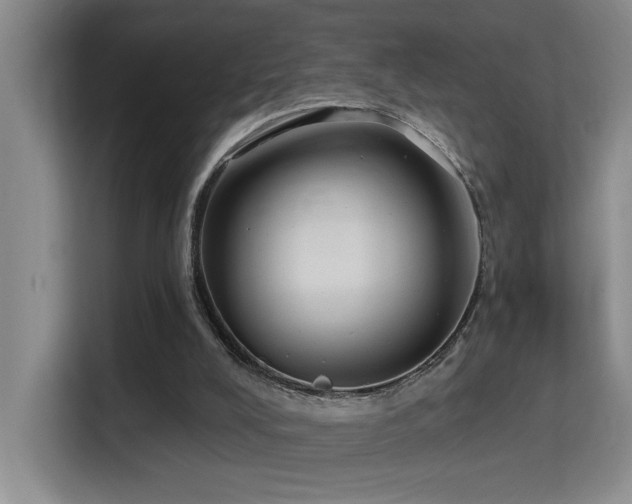 X0000114720008200910211356