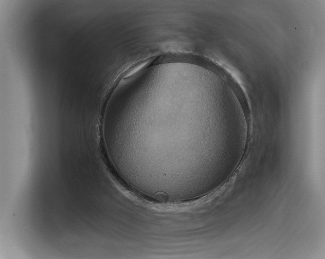 X0000114720009200910211356