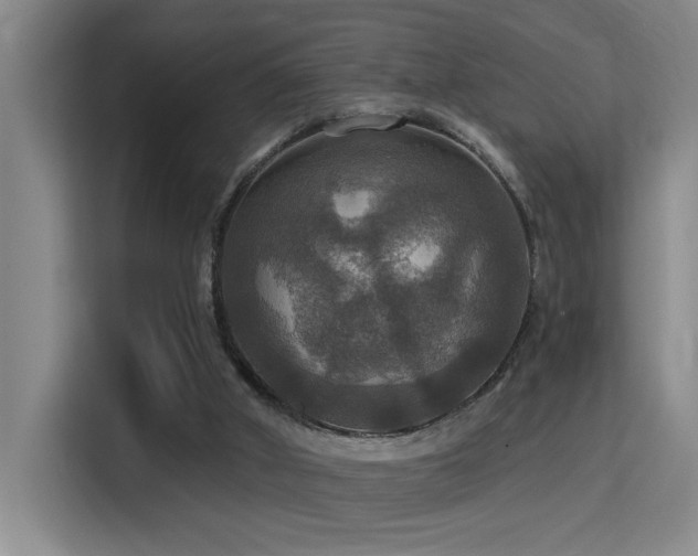 X0000114720010200910211356