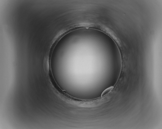 X0000114720011200910211356