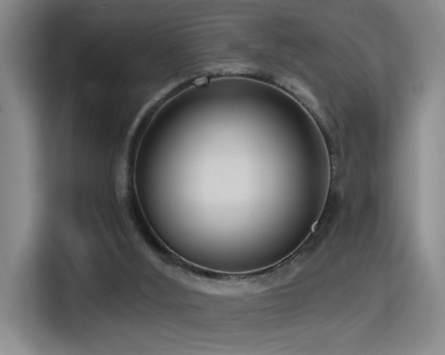 X0000114720012200910211356