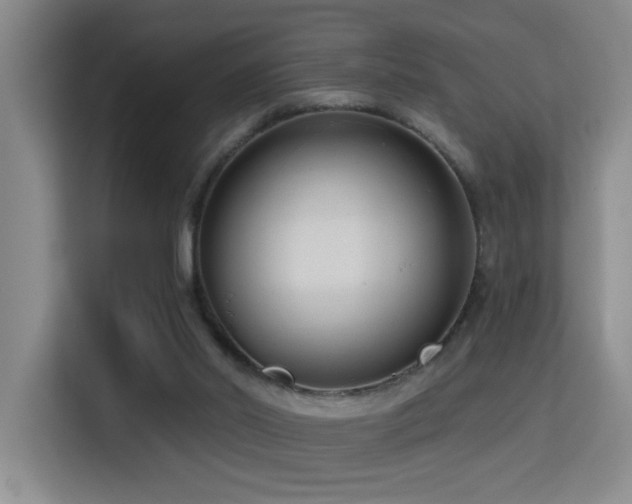 X0000114720014200910211356