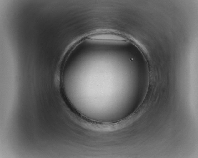 X0000114720015200910211356