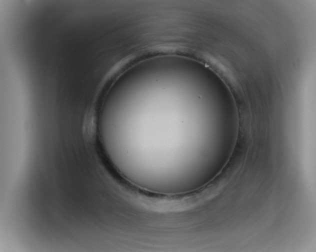 X0000114720016200910211356