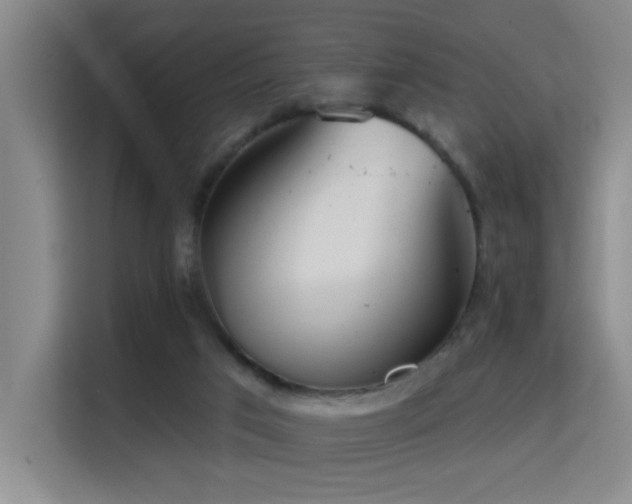 X0000114720017200910211356