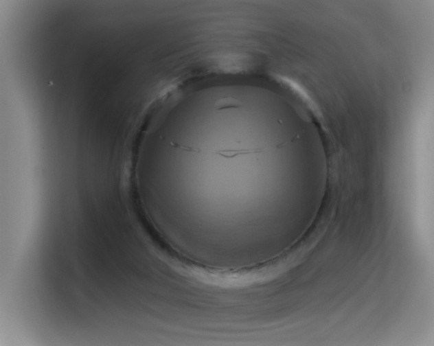 X0000114720018200910211356