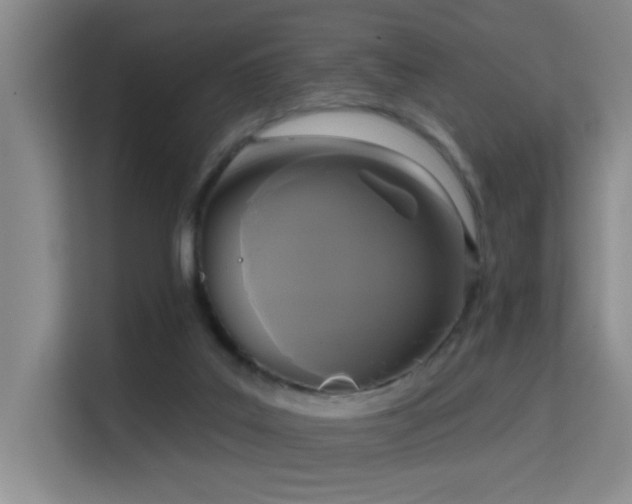 X0000114720019200910211356