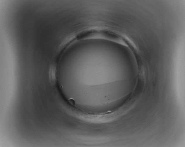 X0000114720023200910211356