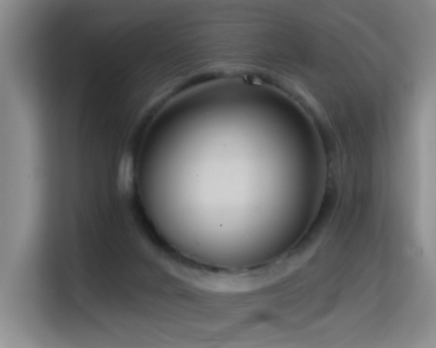 X0000114720024200910211356