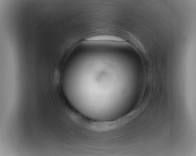 X0000114720025200910211356