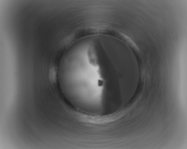 X0000114720026200910211356