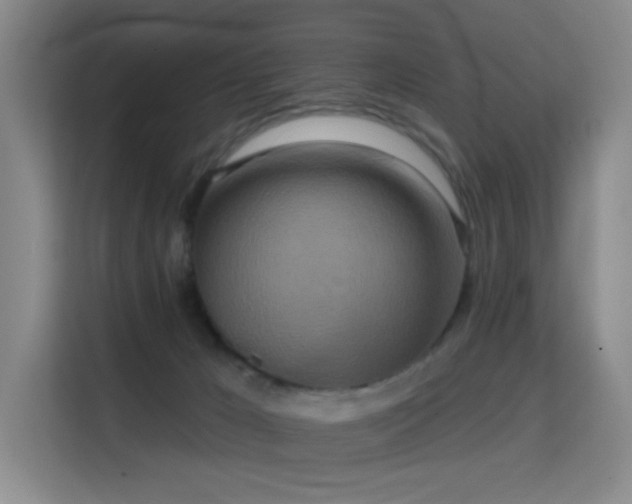 X0000114720029200910211356