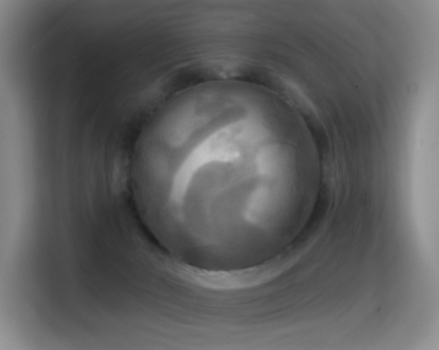 X0000114720030200910211356