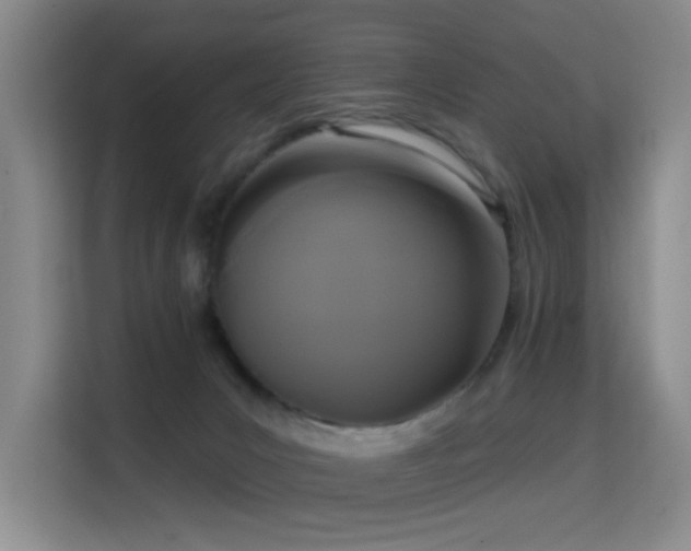 X0000114720031200910211356