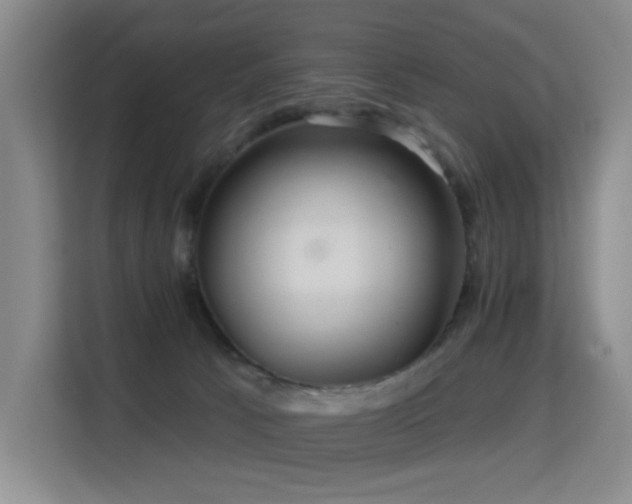 X0000114720033200910211356