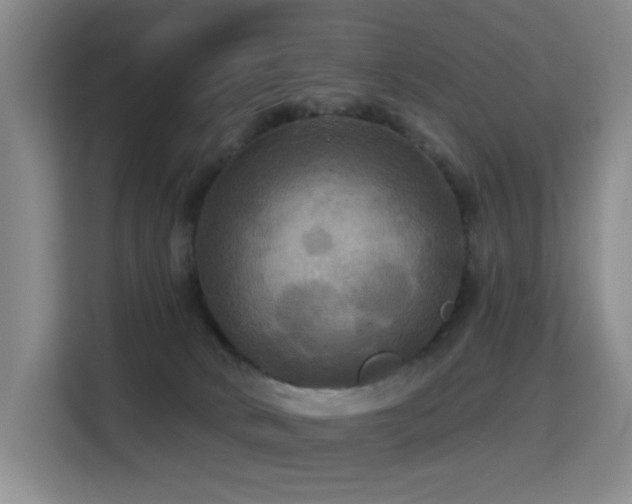 X0000114720034200910211356