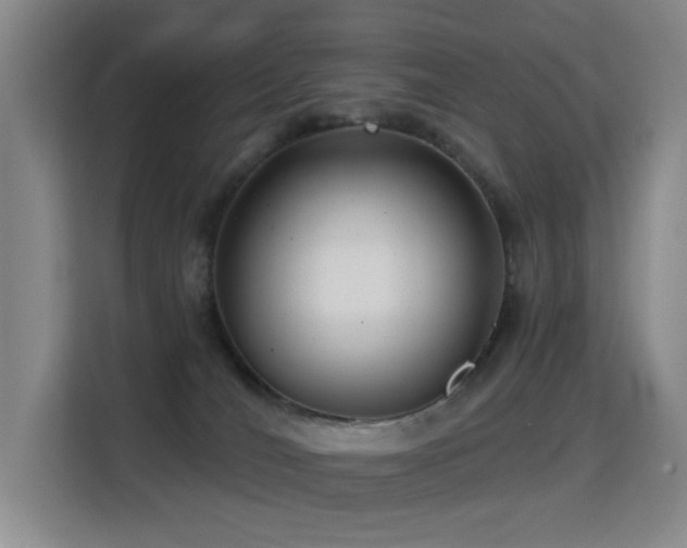 X0000114720036200910211356