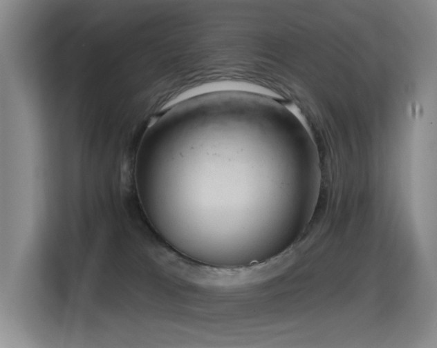 X0000114720037200910211356