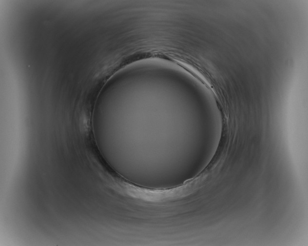 X0000114720039200910211356