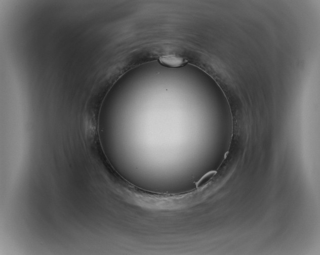 X0000114720040200910211356