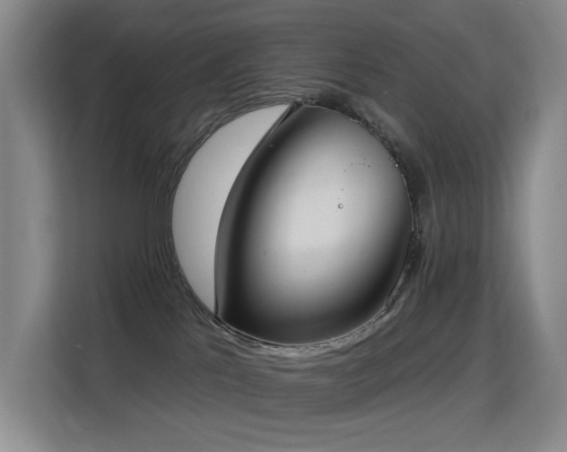 X0000114720041200910211356