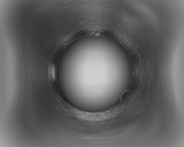 X0000114720042200910211356