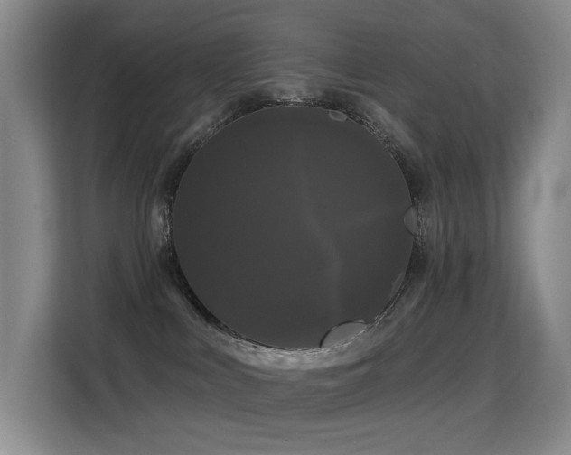 X0000114720043200910211356