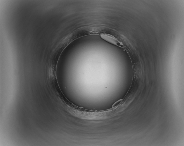 X0000114720044200910211356