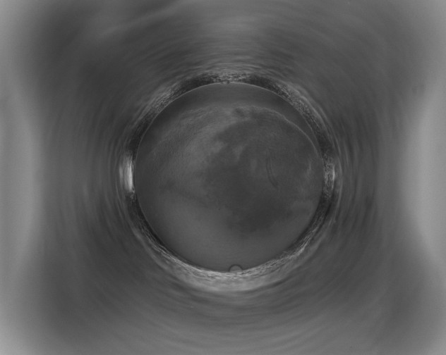 X0000114720046200910211356