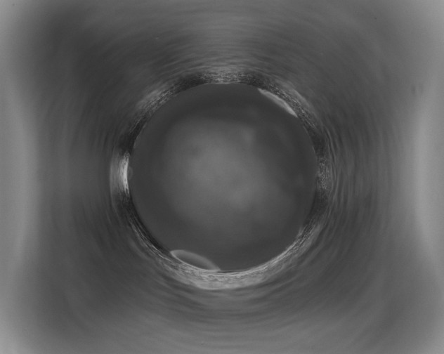 X0000114720047200910211356