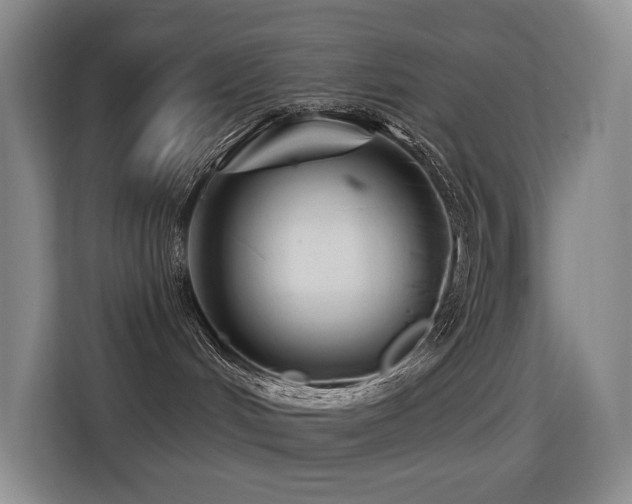 X0000114720048200910211356