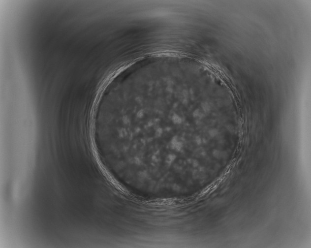 X0000114720049200910211355