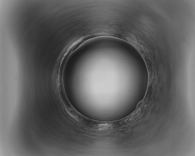 X0000114720050200910211355