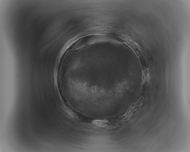 X0000114720051200910211355