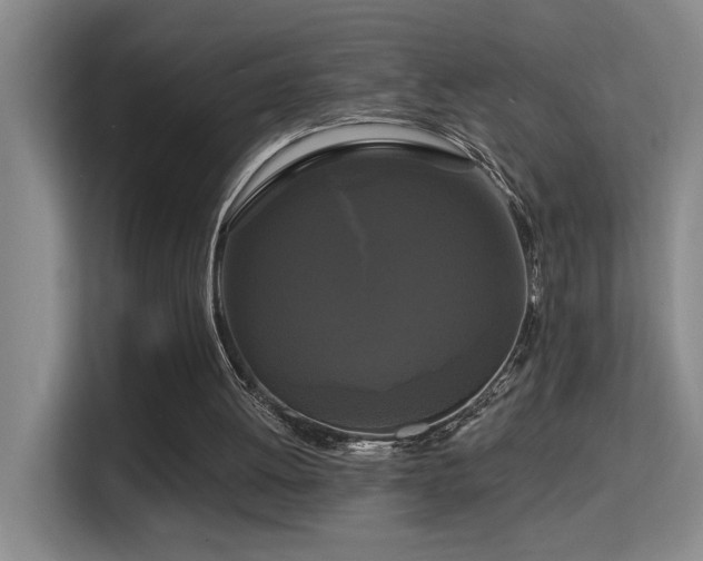 X0000114720052200910211355