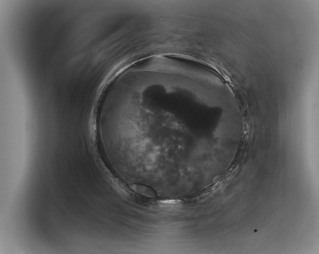 X0000114720053200910211355