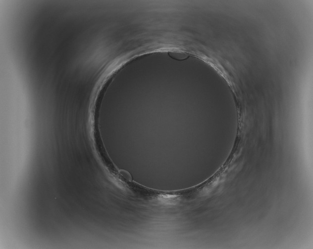 X0000114720055200910211355