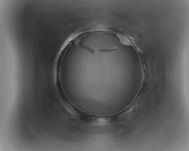 X0000114720056200910211355