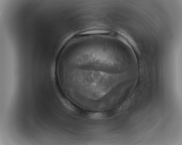 X0000114720058200910211355