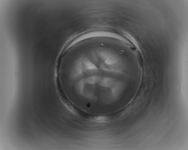 X0000114720059200910211355