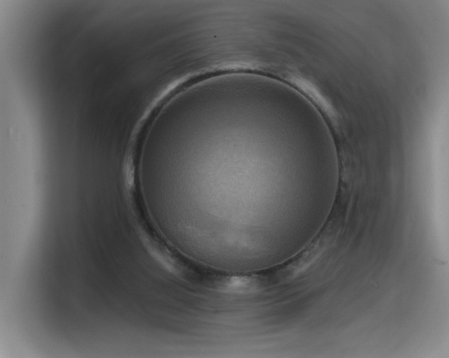 X0000114720060200910211355