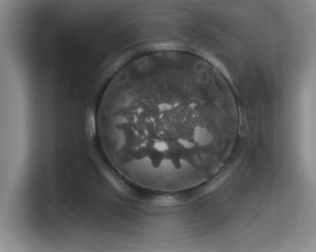 X0000114720061200910211355