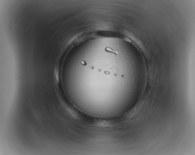 X0000114720062200910211355