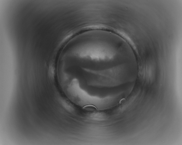 X0000114720063200910211355