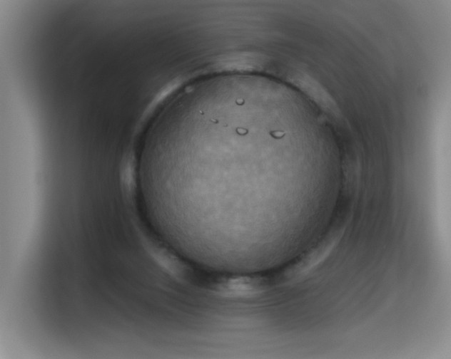 X0000114720064200910211355