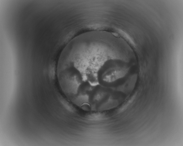 X0000114720065200910211355