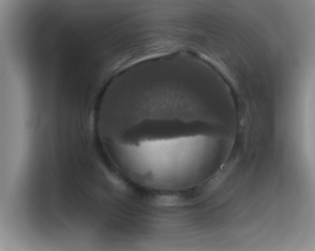 X0000114720066200910211355